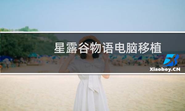 星露谷物语电脑移植