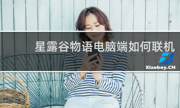 星露谷物语电脑端如何联机