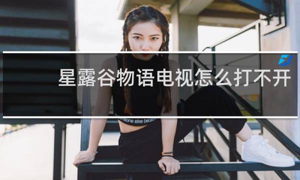 星露谷物语电视怎么打不开