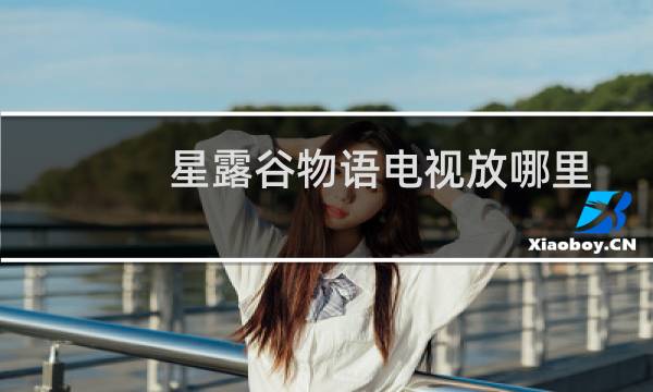 星露谷物语电视放哪里