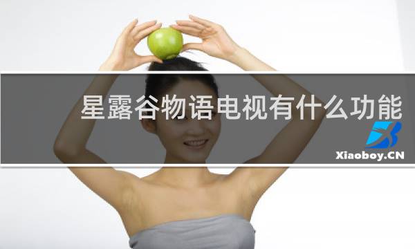 星露谷物语电视有什么功能