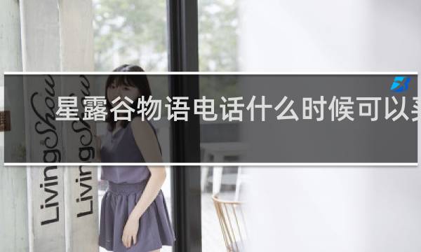 星露谷物语电话什么时候可以买