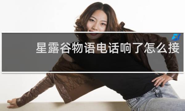 星露谷物语电话响了怎么接