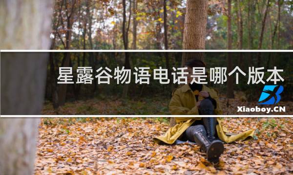 星露谷物语电话是哪个版本