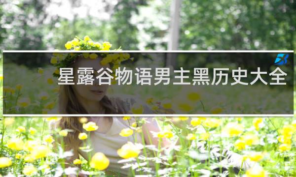 星露谷物语男主黑历史大全