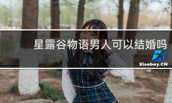 星露谷物语男人可以结婚吗