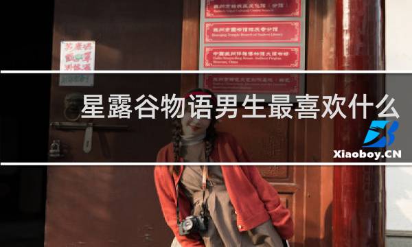 星露谷物语男生最喜欢什么
