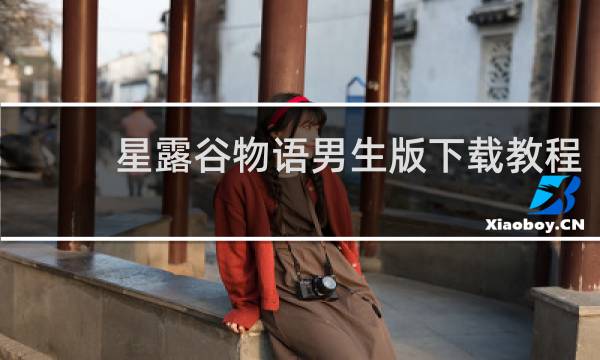 星露谷物语男生版下载教程