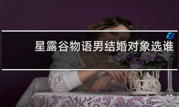星露谷物语男结婚对象选谁
