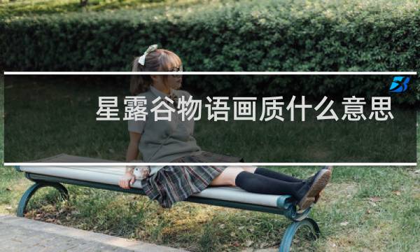 星露谷物语画质什么意思