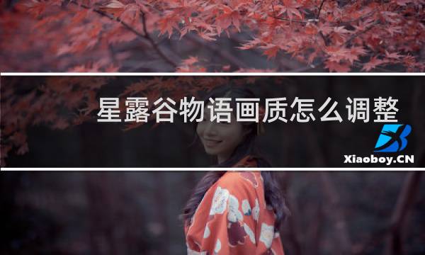 星露谷物语画质怎么调整