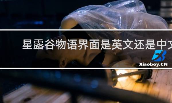 星露谷物语界面是英文还是中文