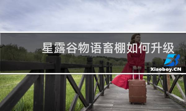 星露谷物语畜棚如何升级