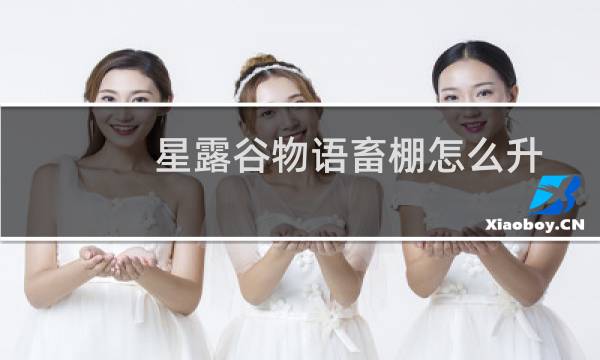 星露谷物语畜棚怎么升