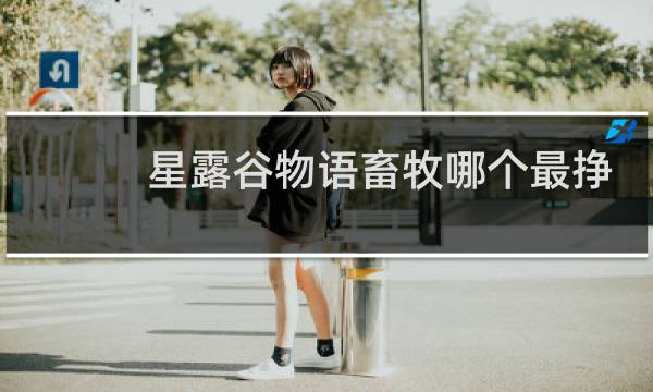 星露谷物语畜牧哪个最挣