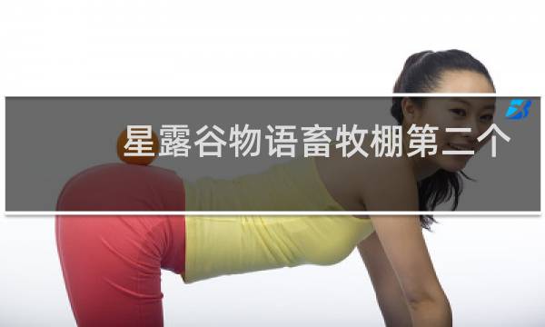 星露谷物语畜牧棚第二个