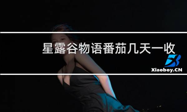 星露谷物语番茄几天一收