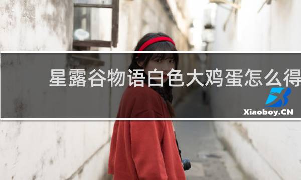 星露谷物语白色大鸡蛋怎么得