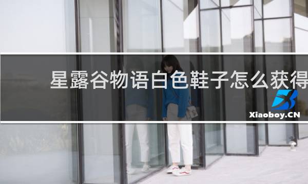星露谷物语白色鞋子怎么获得