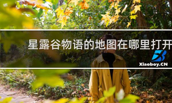 星露谷物语的地图在哪里打开
