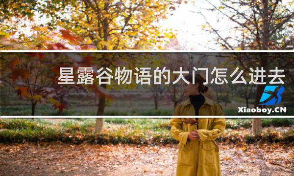 星露谷物语的大门怎么进去