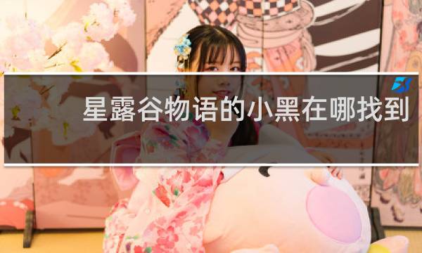 星露谷物语的小黑在哪找到