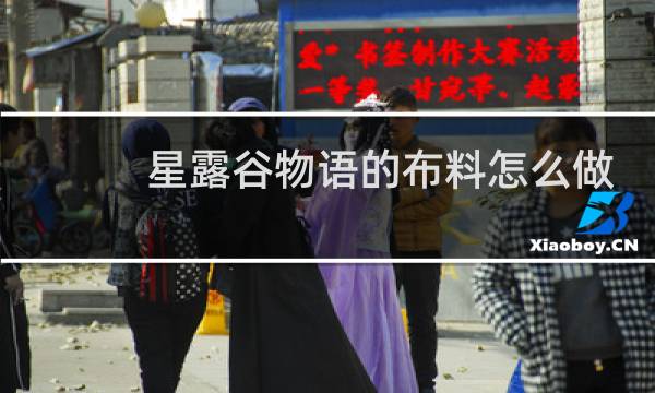 星露谷物语的布料怎么做