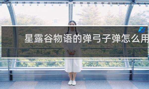 星露谷物语的弹弓子弹怎么用