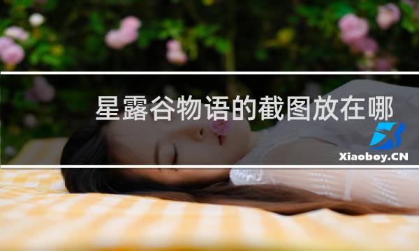 星露谷物语的截图放在哪