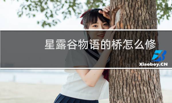 星露谷物语的桥怎么修