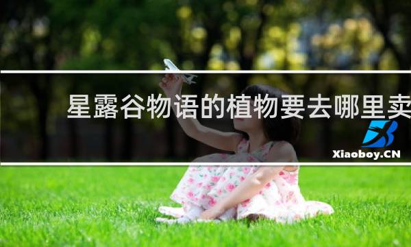星露谷物语的植物要去哪里卖