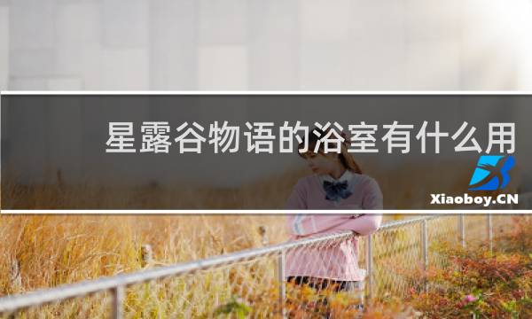 星露谷物语的浴室有什么用