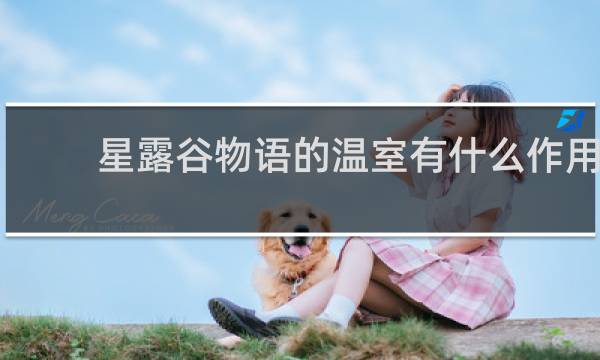 星露谷物语的温室有什么作用
