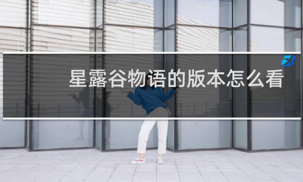 星露谷物语的版本怎么看