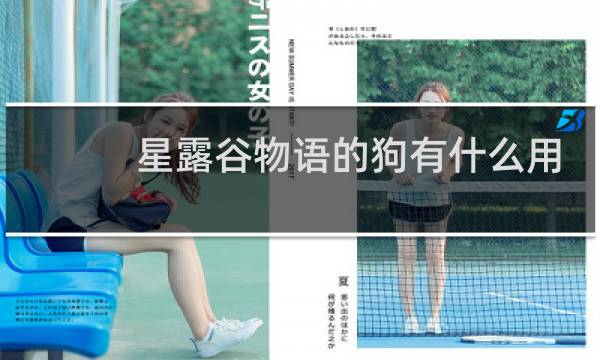 星露谷物语的狗有什么用