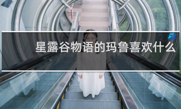 星露谷物语的玛鲁喜欢什么