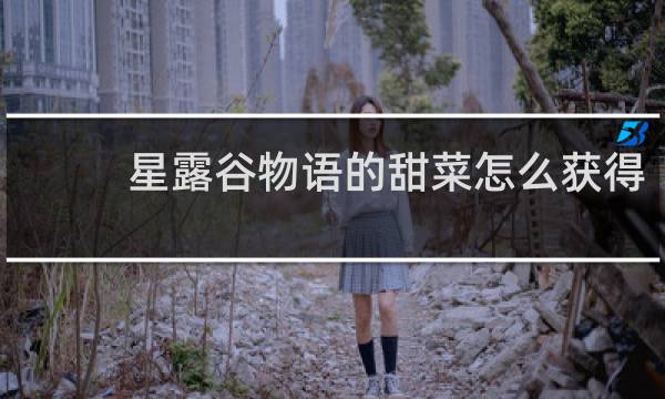 星露谷物语的甜菜怎么获得