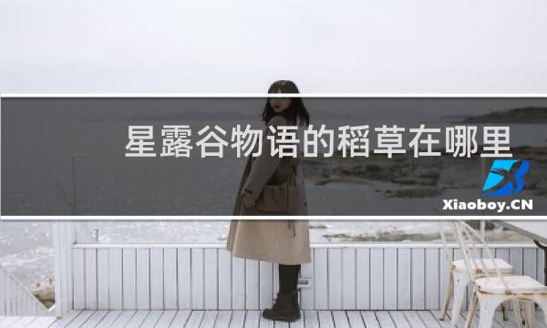 星露谷物语的稻草在哪里