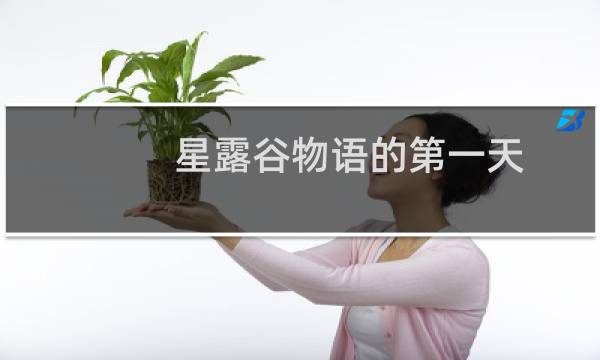 星露谷物语的第一天