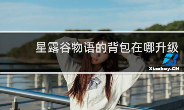 星露谷物语的背包在哪升级