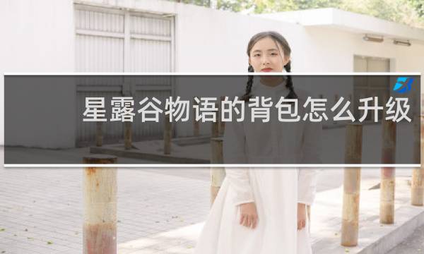 星露谷物语的背包怎么升级
