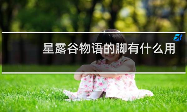 星露谷物语的脚有什么用