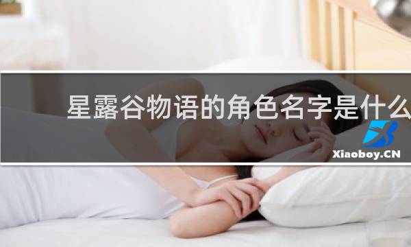 星露谷物语的角色名字是什么