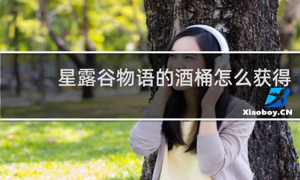 星露谷物语的酒桶怎么获得