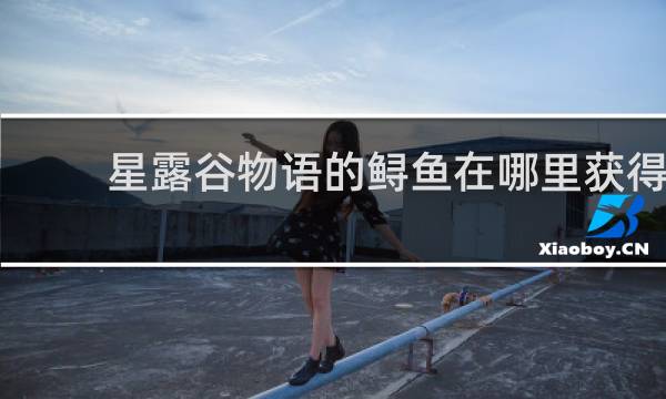 星露谷物语的鲟鱼在哪里获得
