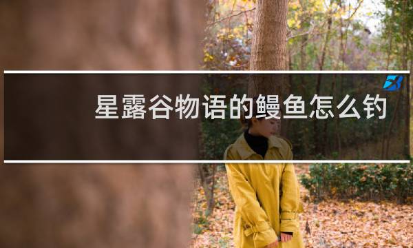 星露谷物语的鳗鱼怎么钓