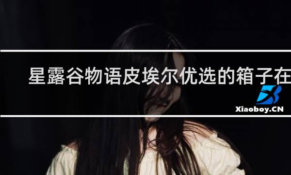 星露谷物语皮埃尔优选的箱子在哪