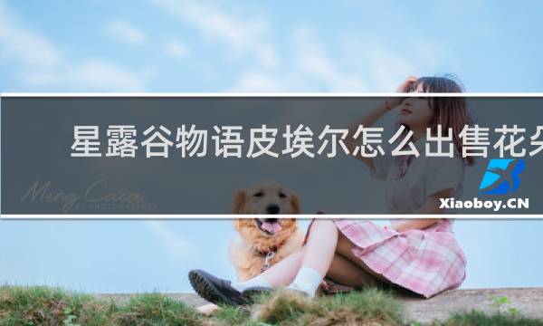 星露谷物语皮埃尔怎么出售花朵