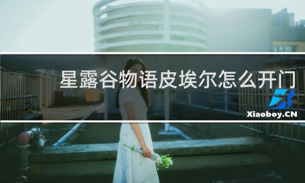 星露谷物语皮埃尔怎么开门