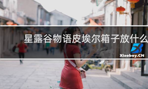 星露谷物语皮埃尔箱子放什么